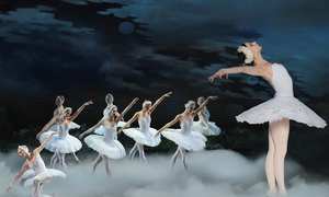 Ukrainian Classical Ballet - Schwanensee
